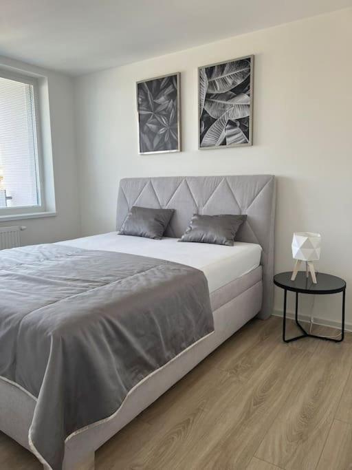 Apartman Centrum S Parkovanim Кошице Екстер'єр фото